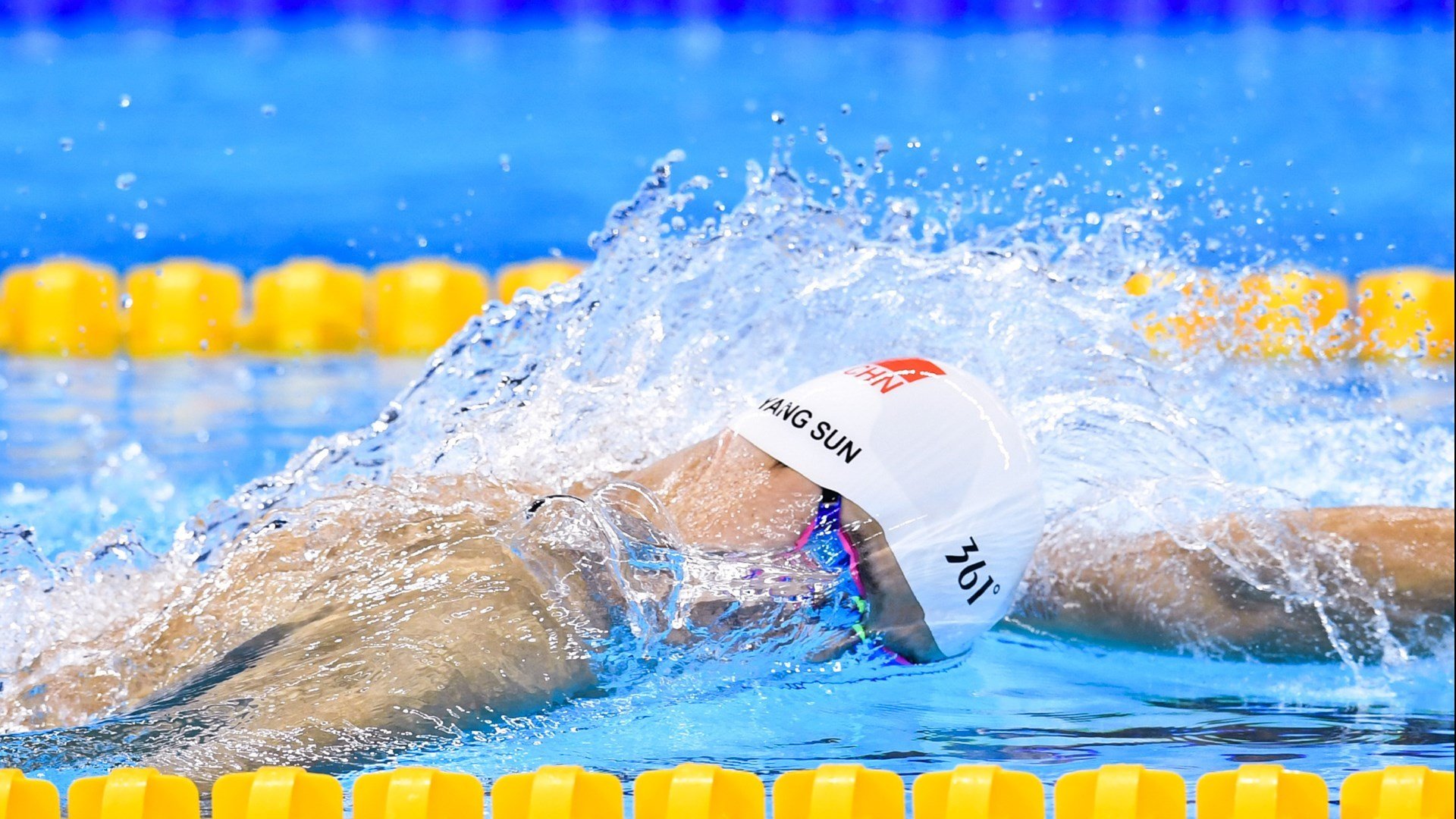 开云体育官网-泰国马术协会推出马匹健康管理系统，提升马匹福利。，泰国的马杀鸡是什么项目